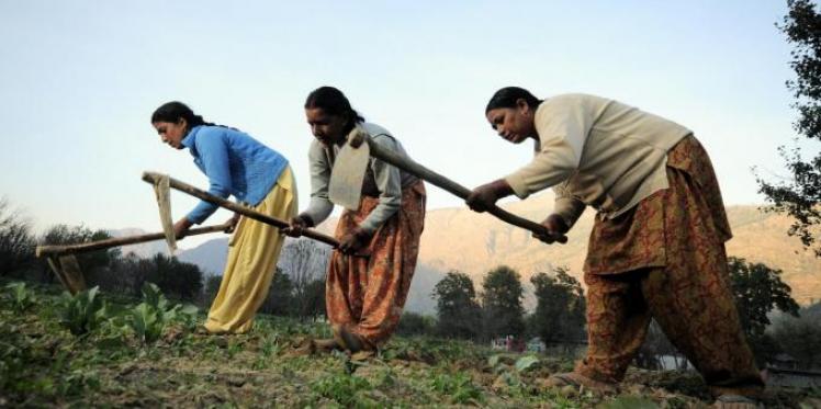 Experts Raise Concerns Over Gender Bias in India’s…