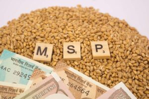 Cabinet Approves Higher MSP for Rabi Crops for&hellip;