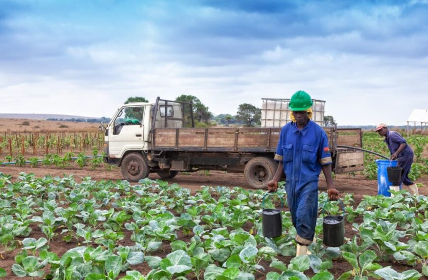Private Investment Boosts Agricultural Development…