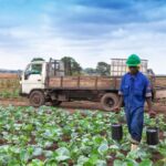AI Revolutionizes Global Agriculture with New “Pest-ID” Tool