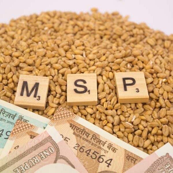 Cabinet Approves Higher MSP for Rabi Crops for&hellip;