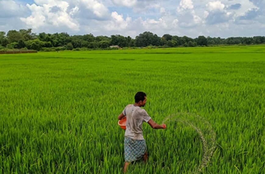 Chhattisgarh Sets Paddy Procurement Price at ₹3,100 per…