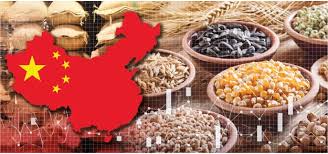 China Boosts 2025 Grain Budget, Strengthens Push for…