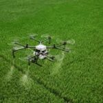 India Develops AI-Powered Crop Recommendation System to Boost Farm Productivity