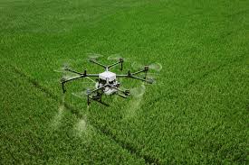 India Develops AI-Powered Crop Recommendation System to Boost…