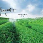Drone-Based Monitoring Offers Smart Solution for Plantation Health