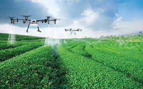 Drone-Based Monitoring Offers Smart Solution for Plantation Health
