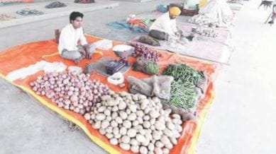 Punjab Mandi Board Staff Oppose Transfer of Fruit…