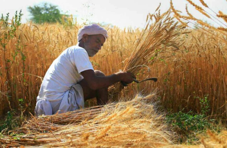 Over 3.25 Lakh Cotton Farmers in Maharashtra Register…