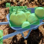 AI-Powered Crop Recommendation System Achieves Remarkable Accuracy