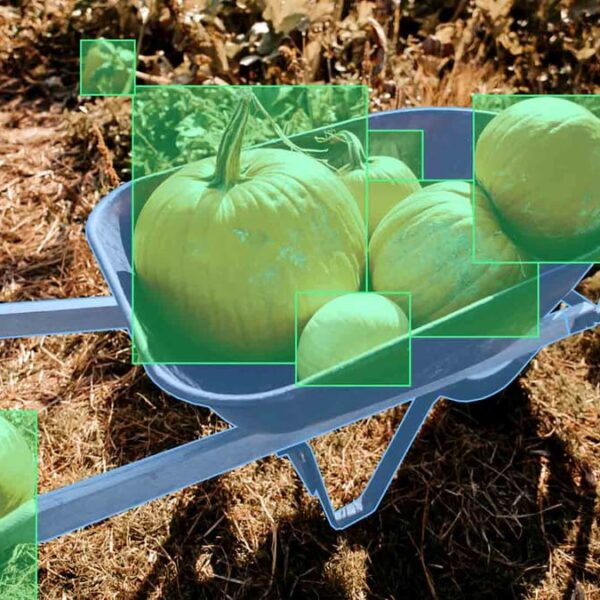 AI-Powered Crop Recommendation System Achieves Remarkable Accuracy