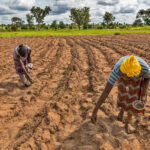 National Women Farmers’ Day Highlights Gender Gaps in Natural Farming Policies