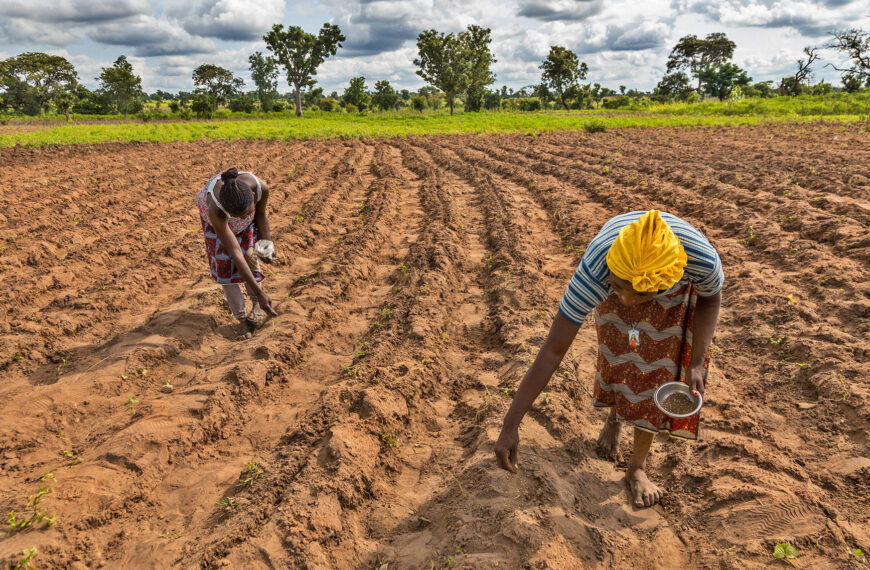 National Women Farmers’ Day Highlights Gender Gaps in…