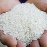 Global Rice Prices Fall to Eight-Year Low Amid Surging Supply