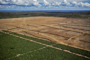 Soy Expansion in Brazil’s Amazon and Cerrado Raises&hellip;