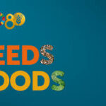 FAO Celebrates 80 Years with Global “From Seeds to Foods” Exhibition