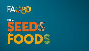 FAO Celebrates 80 Years with Global “From Seeds…
