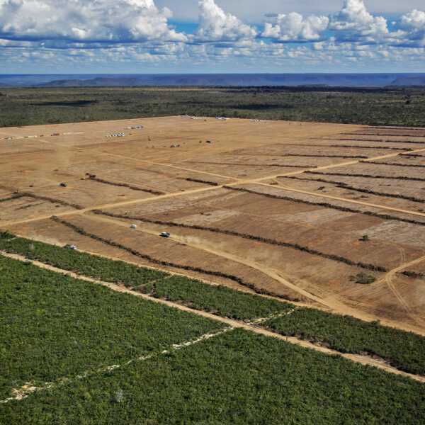 Soy Expansion in Brazil’s Amazon and Cerrado Raises…