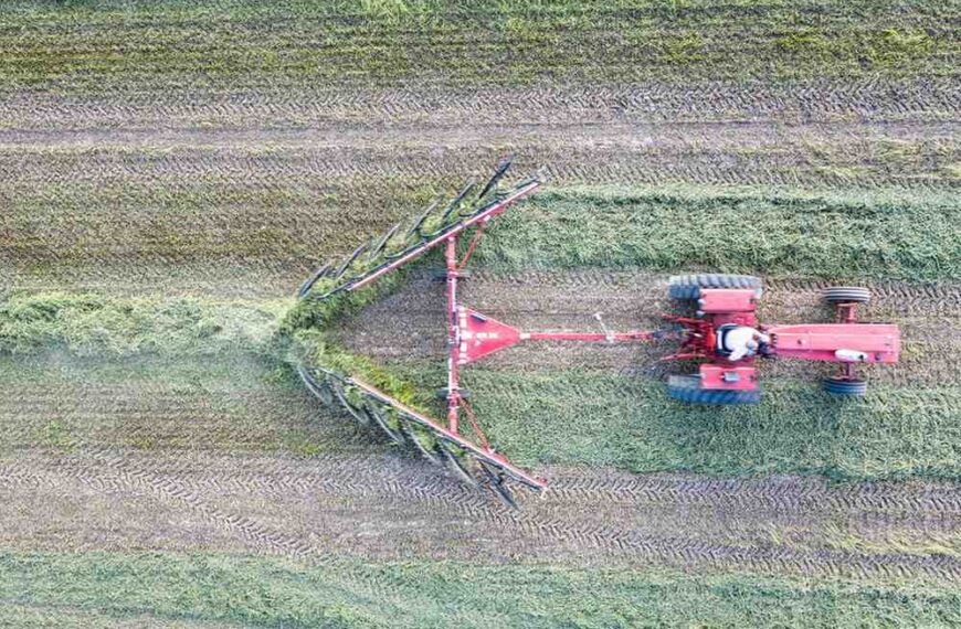 Geopolitics to Drive Global Agriculture Trends in 2026: Rabobank Report