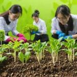 Strong Job Outlook for Agriculture Graduates Highlights Expanding Opportunities Worldwide