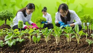 Strong Job Outlook for Agriculture Graduates Highlights Expanding Opportunities Worldwide