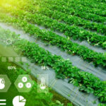Smart-Farm Platforms and Automation Poised to Reshape the Future of Global Agriculture