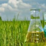 Global Liquid Fertilizers Market Set for Steady Growth Through 2034, Report Finds