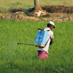 India’s Agrochemical Market Expands Rapidly, Poised for Global Leadership