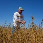 China Resumes Limited U.S. Farm Purchases Amid Signs of Trade Thaw