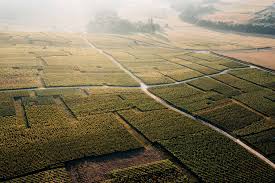 Geopolitics Emerging as the New…