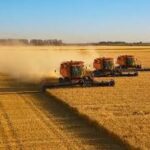 FAO Predicts Record Global Cereal Stocks for 2025
