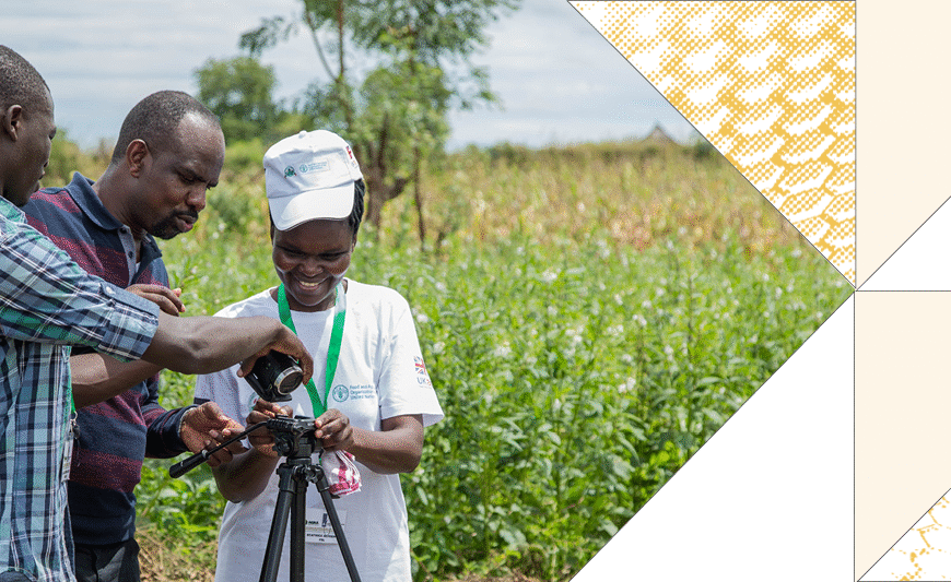 Digital Technologies Boost Farmers’ Resilience, Says FAO Report