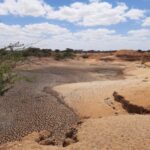 FAO Report Warns: 1.7 Billion People Affected by Declining Crop Yields Due to Land Degradation