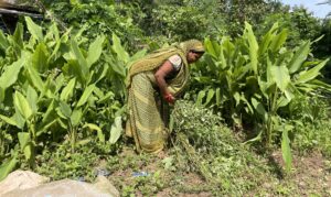 India Accelerates Efforts to Become Global Hub for…