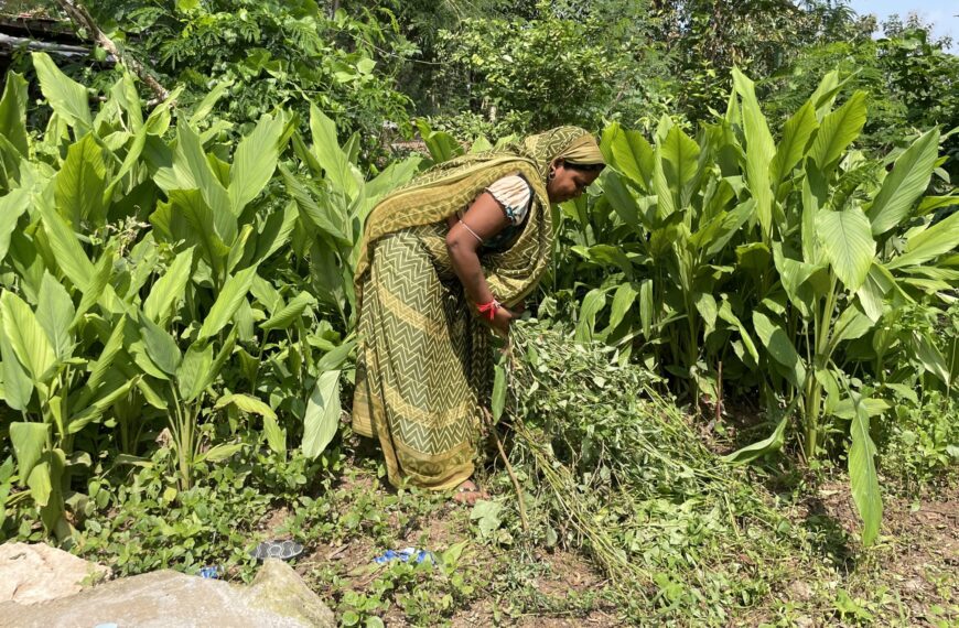 India Accelerates Efforts to Become Global Hub for Natural Farming