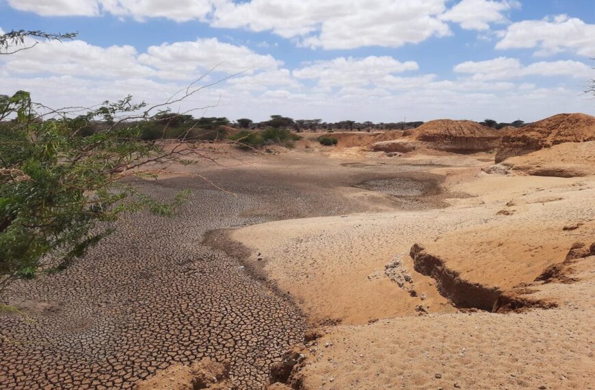 FAO Report Warns: 1.7 Billion…