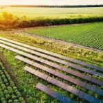 Renewable Energy Integration Key to Transforming Global Agriculture, Experts Say