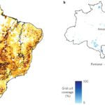 Agriculture in Brazil: Balancing Land Use, Biodiversity, and Global Climate Impact