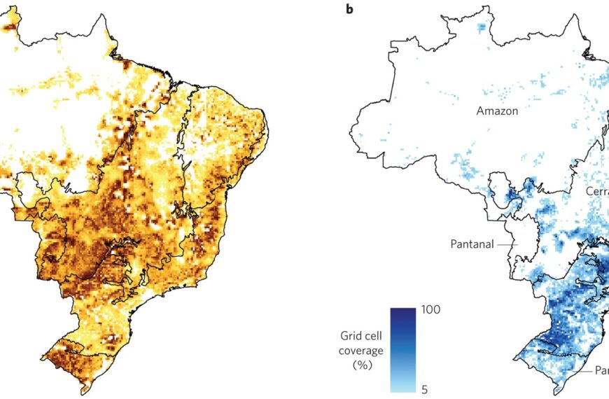 Agriculture in Brazil: Balancing Land…