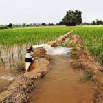 When Irrigation Backfires: Global Farming Practices Increasing Heat Stress and Water Scarcity, Study Finds
