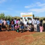 Africa Hosts Major Field Day Showcasing Over 800 Elite Maize Hybrids