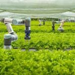 Global Farm Machinery Leaders Spotlight Automation and Robotics as the Future of Farming
