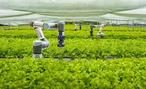 Global Farm Machinery Leaders Spotlight Automation and Robotics as the Future of Farming