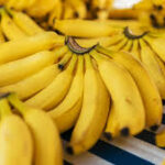 Climate Change Poses Growing Threat to Global Banana Production