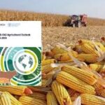 Global Agricultural Production Set to Rise 14% by 2034, Says OECD-FAO Outlook