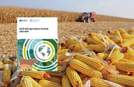 Global Agricultural Production Set to Rise 14% by 2034, Says OECD-FAO Outlook