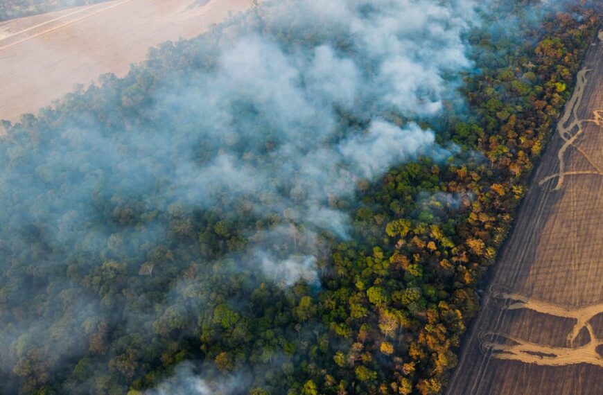 Global Farm Subsidies Fuel Factory…