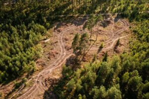 EU Nations Seek One-Year Delay to Implementation of…