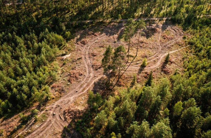 EU Nations Seek One-Year Delay…