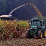 FAO Reports Strong Rebound in Global Food Commodity Production, But Warns of Ongoing Risks